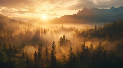 Obraz premium Serene Sunrise Scenery