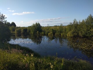 river, water, nature, trees, child, green