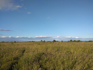 smfield, sky, nature, clouds, summer, autumnart