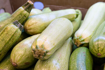 ripe green fresh healthy zucchini vegetable object vegetarian courgette nutrition food raw