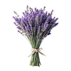 A full bouquet of lavender flowers tied with a beige ribbon. The thick purple flowers create a feeling of abundance of nature and relaxation.