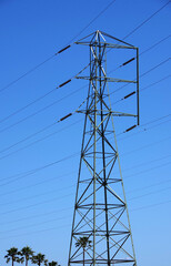 Electricity tower and palm trees