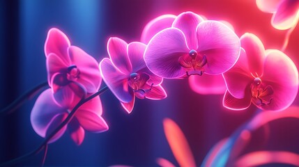 Fototapeta premium Glowing orchid flower neon light beautiful bloom realistic image