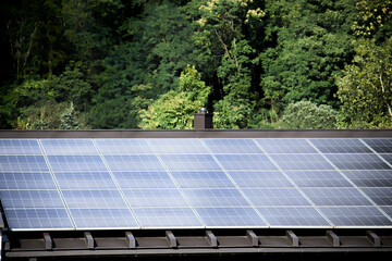 Solarzellen auf einem Hausdach im Grünen