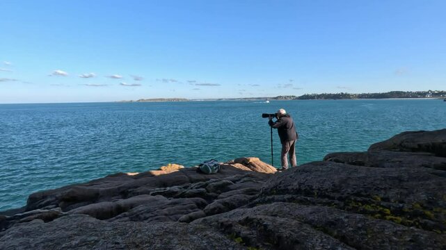photographe animalier sur les rochers de la c&ocirc;te de granit rose - Bretagne