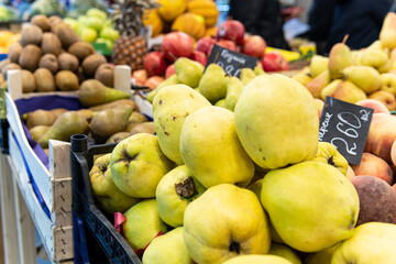 raw ripe closeup market organic agriculture diet nutrition quince background food nature healthy