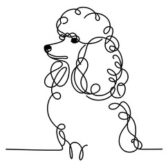 Minimalist line drawing of a poodle with curly fur