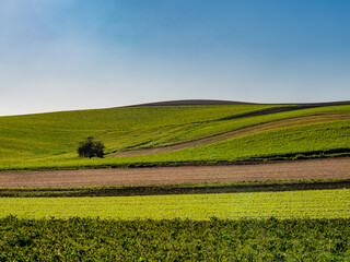 Hügelige Agrarlandschaft im Herbst