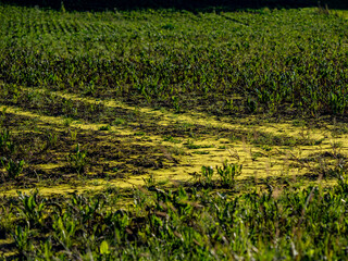 Feuchter Acker nach vielen Regenfällen