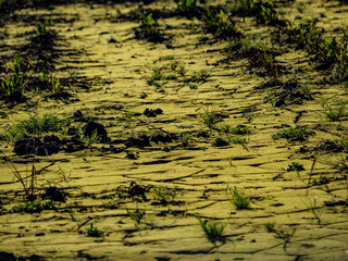 Feuchter Acker nach vielen Regenfällen