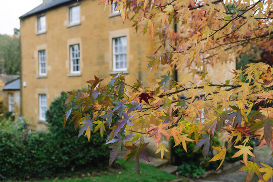 Autumnal English Village with Limestone Cottages and Autumn Trees - Quintessential Filming Location for Father Brown in Blockley, Gloucestershire in The Cotswolds