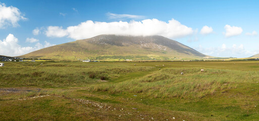 Fototapeta premium A large mountain is in the background of a field. The sky is clear and blue. The field is mostly green with some brown patches. Achill island, Ireland. Nobody.