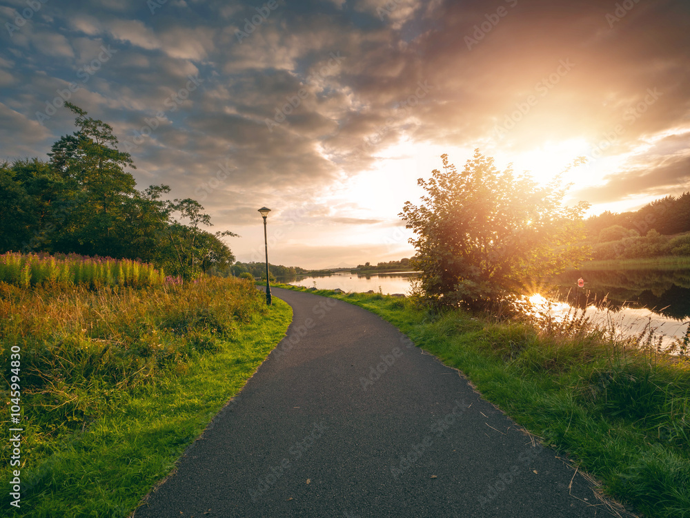 Wall mural a path runs along a river with a tree on the side. the sky is cloudy and the sun is setting. calm an