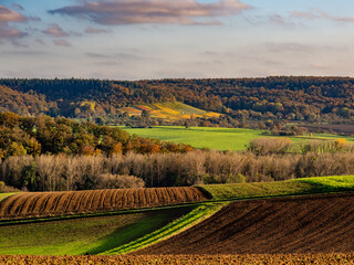 Fototapeta premium Agrarlandschaft und Weinberge im Herbst