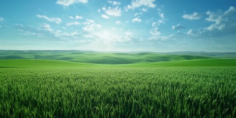 Obraz premium Breathtaking view of lush green fields under a vibrant blue sky with fluffy clouds.