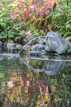 Herbststimmung am Gartenteich mit wasserspeienden Frosch