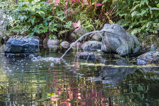 Herbststimmung am Gartenteich mit wasserspeienden Frosch