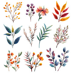 A vibrant collection of hand-painted floral elements featuring various plants and flowers in rich colors.
