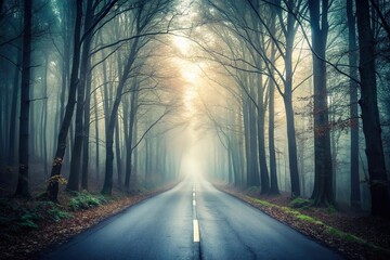 Fototapeta premium Spooky and desolate forest road shrouded in thick fog invoking mystery and solitude