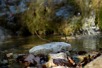 Natural stone stand for outdoor on river waterfall products autumn fall nature on trees woods leaves 