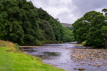 Walking in summer along the river Wharfe, Yorkshire dales, England