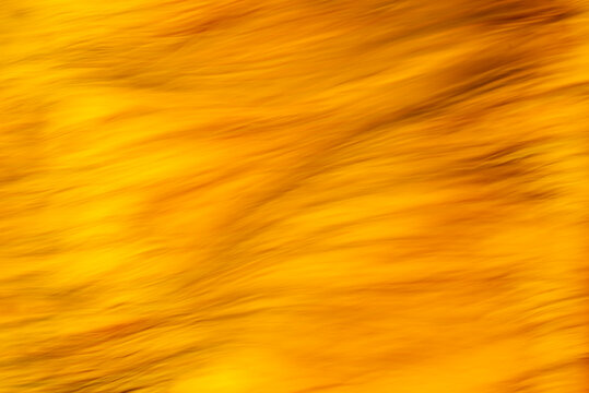 Vibrant Gold Textures of Rio Tinto Mine Waters