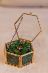 Elegant Gold Wedding Rings in Glass Hexagonal Box Decorated with Green Moss