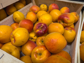 Close-up of ripe Lady Cot apricots in wooden crates, prepared for sale. Lady Cot is one of the most...