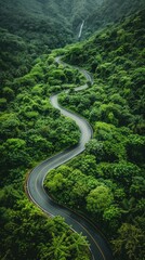 Winding road through a lush forest. AI.