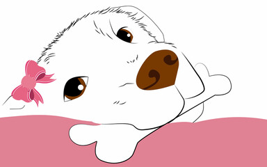 dog with bow and bone