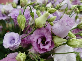 Bouquet of purple lisianthus flowers blooming in a garden