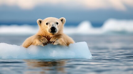 Naklejka premium A curious polar bear leans on a small iceberg, gazing intently at the camera, framed by a stunning backdrop of icy waters, conveying curiosity and elegance.