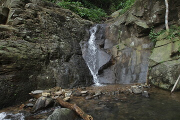 waterfall in the forest