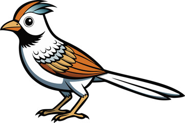 wren vector illustration 