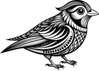 wren vector illustration 