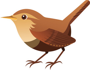 wren vector illustration 
