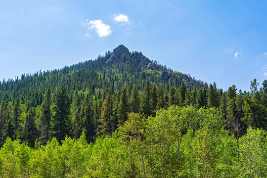 rocky mountain summit and woodlands at golden gate canyon state park golden colorado