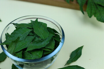 Daun Kari or curry leaves on a glass bowl. Aromatic leaves for making chicken or beef curry. Isolated background, selected focus.