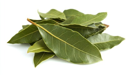 Obraz premium Fresh Bay Leaves on White Background