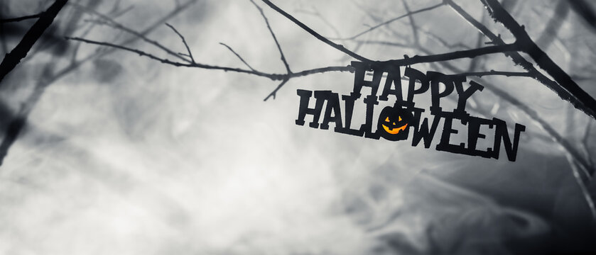 Happy Halloween text hanging in mysterious wilderness at midnight covered in dense fog. Dramatic smoky atmosphere effect around bare branches in a deserted woodland for spooky Halloween background.