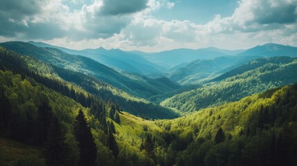 Fototapeta premium Serene Mountain Valley with Lush Greenery and Blue Sky