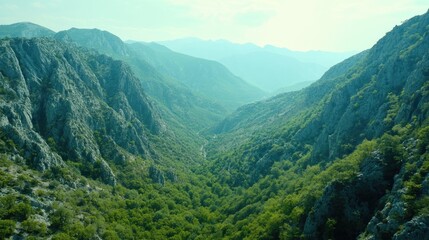 Naklejka premium Serene Mountain Valley Landscape Under Soft Light