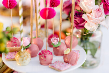 Elegant pink cake pop celebration