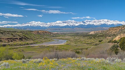A panoramic view of a river winding through a valley with snow-capped mountains in the background,  highlighted by a field of wildflowers in the foreground.