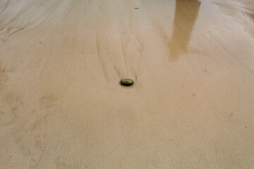 Small coral rocks on the beach.