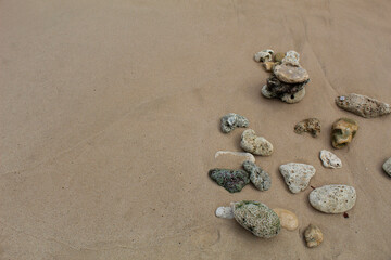 White coral rocks with a rough texture on the beach.