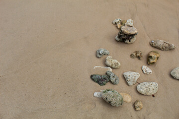 White coral rocks with a rough texture on the beach.