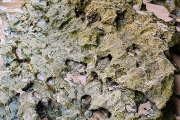 Large coral rocks with a rough texture on the beach.