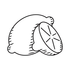 Hand-drawn lime icon for Mexican food and drinks Vector