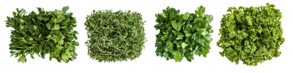 Obraz premium Various fresh herbs arranged on white isolated background. transparent background
